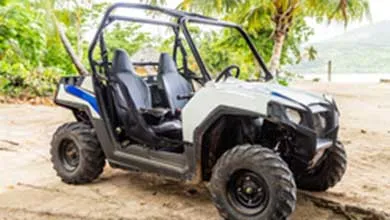 White and black UTV on a sandy beach with palm trees.
