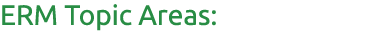 ERM Topic Areas: 