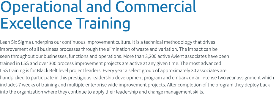 Operational and Commercial Excellence Training Lean Six Sigma underpins our continuous improvement culture. It is a t...